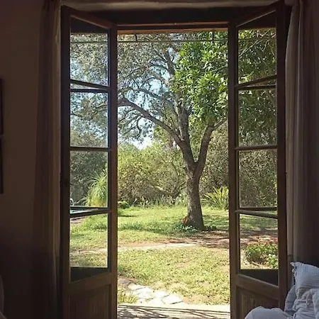 Finca Salzinar