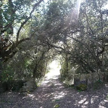 Finca Salzinar Inca (Mallorca)